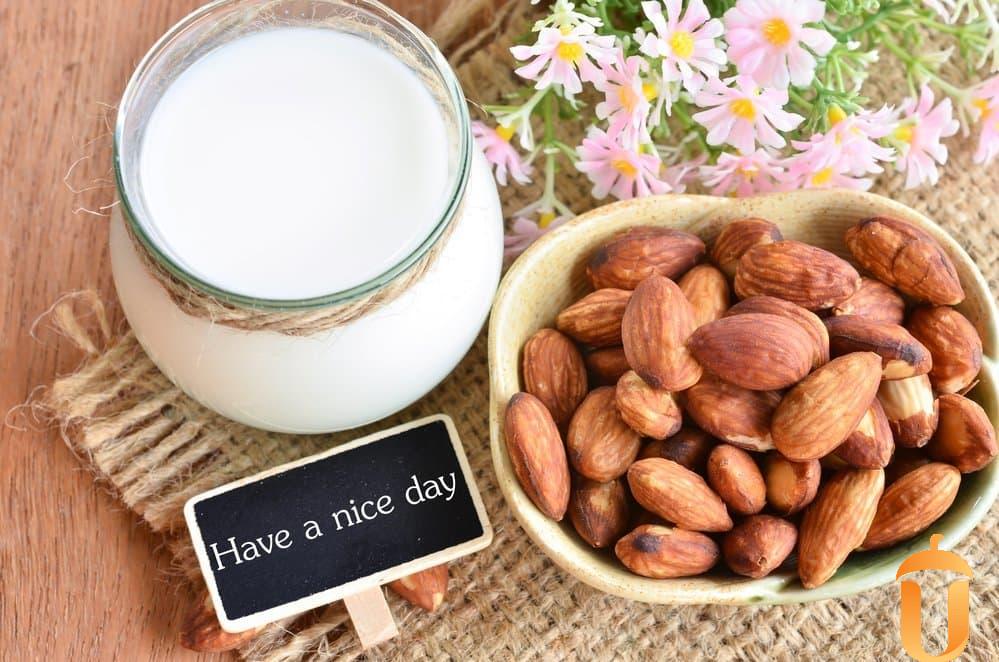 Bà bầu nên ăn gì để tốt cho cả mẹ và bé